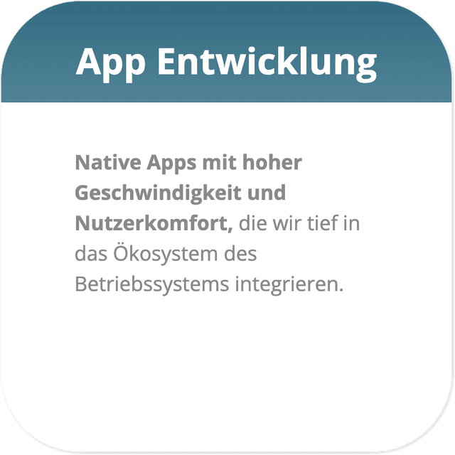 Daubit Programmierung Service GmbH 1